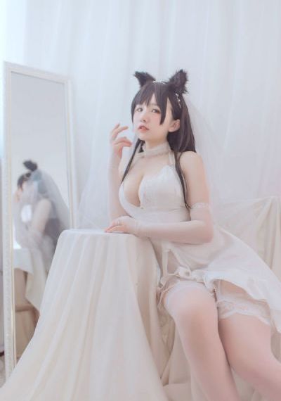 九重紫电视剧在线播放视频观看20