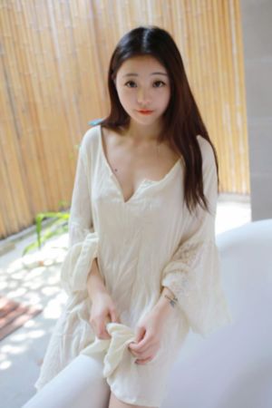 完美证据电视剧免费观看完整版