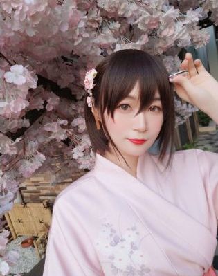 大秦赋电视连续剧