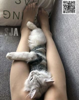 另类酷文
