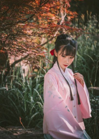 玫瑰的故事