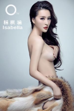 满清奇案