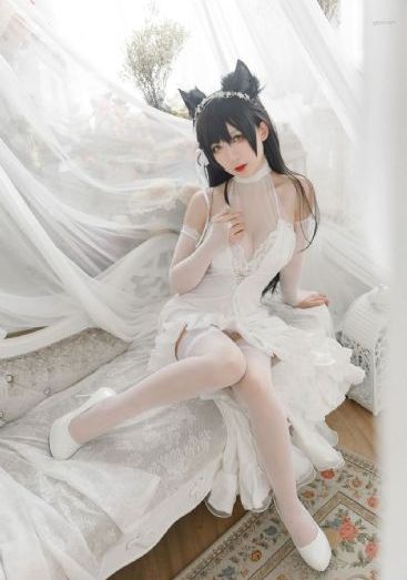 扫黑行动电影免费全集观看