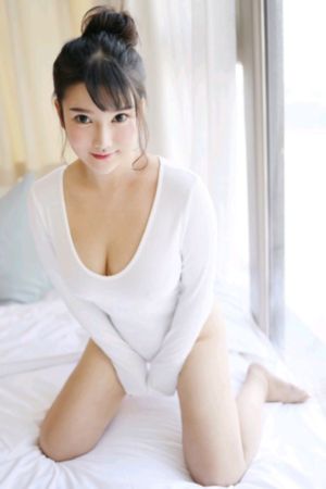 新红楼梦2005