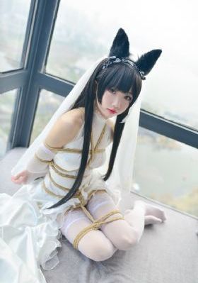 度年华电视剧免费观看完整版